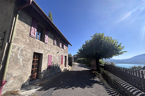 Maison dans un environnement unique vue 3